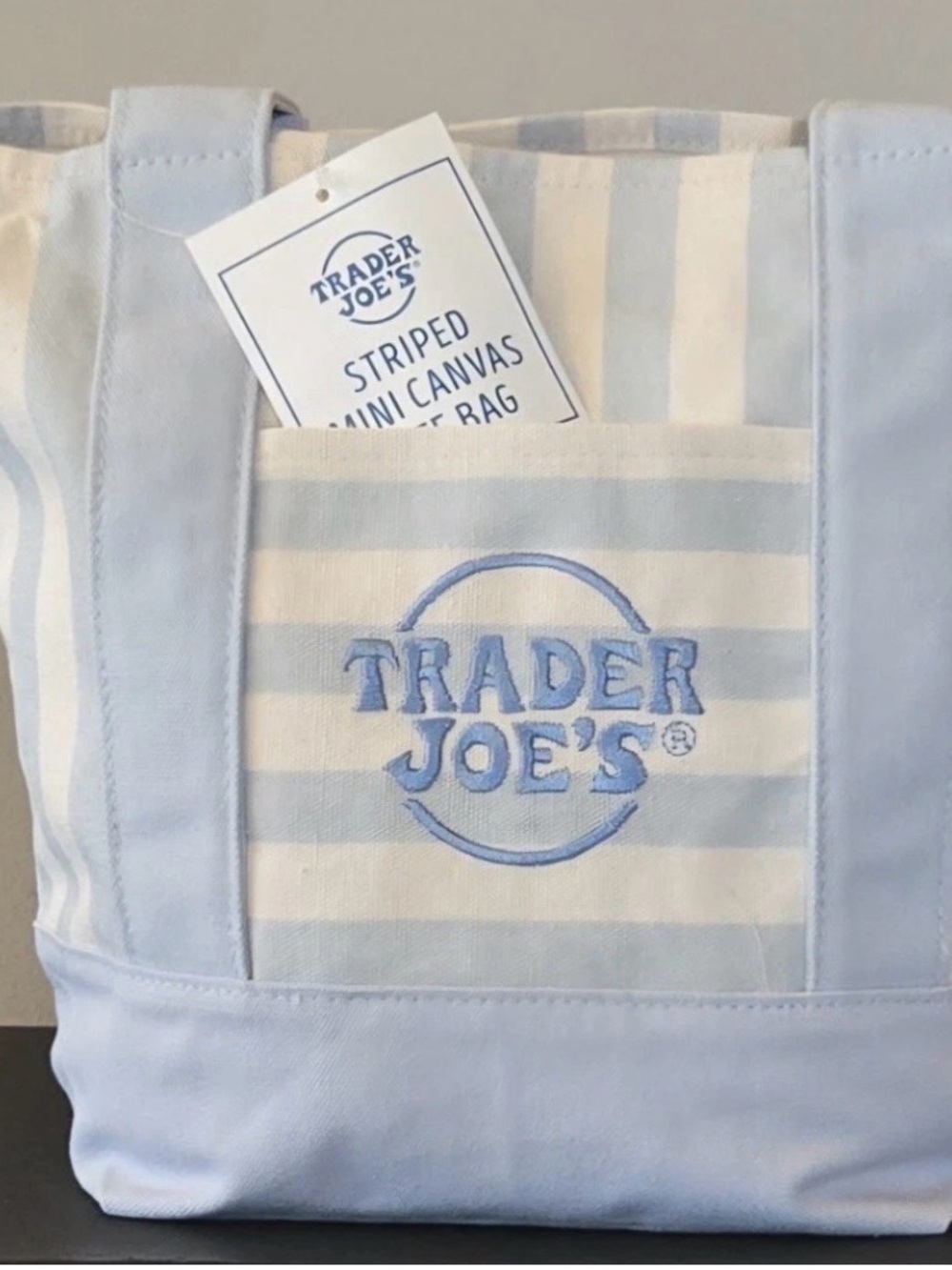 Trader Joe's Striped Mini Canvas Tote Bag - Light Blue & Cream